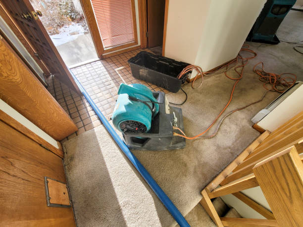 Water damage restoration process in WA