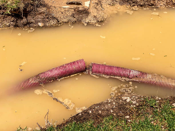 Best Professional water damage repair  in Lewisville, WA